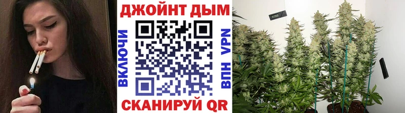 Где можно купить наркотики Макаров АМФ  Канабис  Cocaine 
