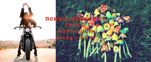 МДПВ Великий Новгород